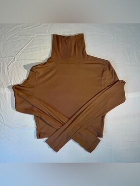 Aritzia Tan Turtleneck Long Sleeve Top